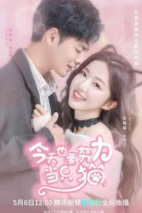 Моя любимая кошечка