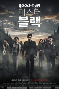 Прощайте, мистер Блэк