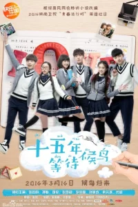 В ожидании перелетных птиц